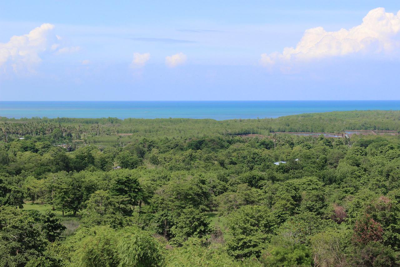 Panja Palawan Puerto Princesa