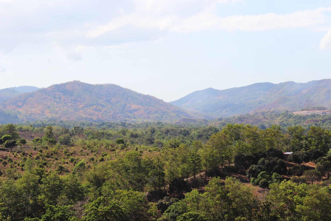Panja Palawan
